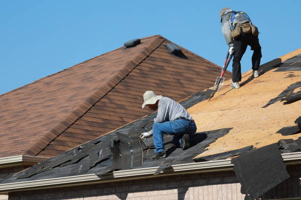 Best Cold Roofs  in Elizabeth Lake, CA